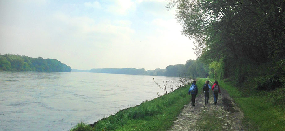 GuSp-Wanderung entlang der Donau